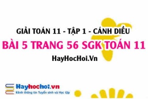 Giải bài 5 trang 56 Toán 11 tập 1 SGK Cánh Diều